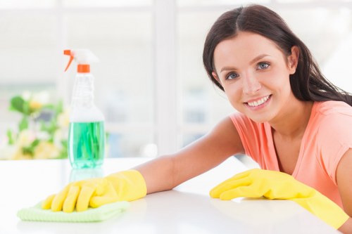 Home cleaning essentials in a tidy living space