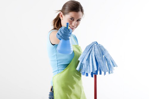 Household regular cleaning tasks in a modern kitchen
