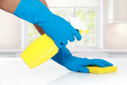 End of tenancy cleaning support for a Lambeth property