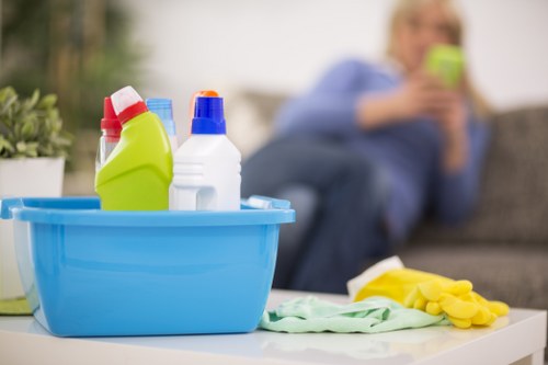 Detailed cleaning checklist for end of tenancy inspection
