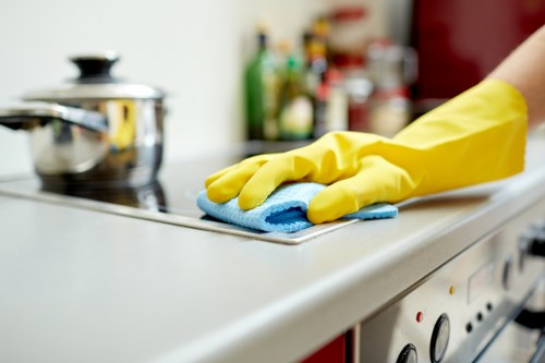 Cleaning supplies prepared for mattress stain treatment