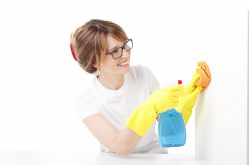 Professional carpet cleaning service in a family room