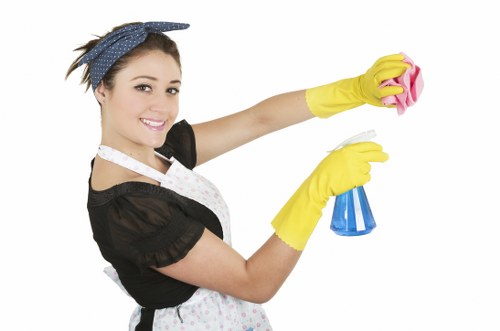 Cleaning supplies prepared for oven cleaning on a countertop