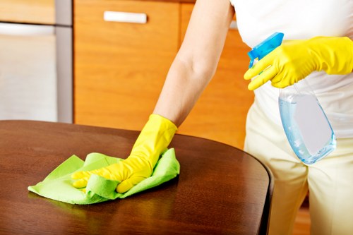 Room-by-room deep cleaning routine in a tidy home