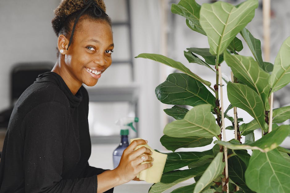 A smiling woman with short curly hair, wearing a black long-sleeve shirt, is engaged in deep cleaning a large potted green indoor plant with broad, glossy leaves in a well-lit room. She is holding a yellow sponge, appearing to wipe or polish the plant's stems or leaves. The surface of the plant pot is partially visible, and the background features a spray bottle, cleaning cloth, and blurred modern kitchen or living space. The scene emphasizes thorough surface cleaning and maintenance, consistent with domestic cleaning services offered by Lambeth Cleaners, highlighting hygiene and plant care within residential environments.